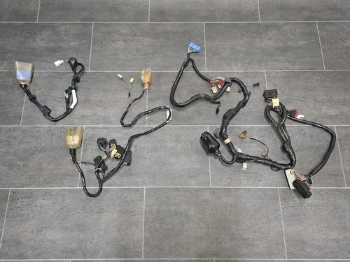 Honda cbr 1100 1999 - honda, 1999-2006
