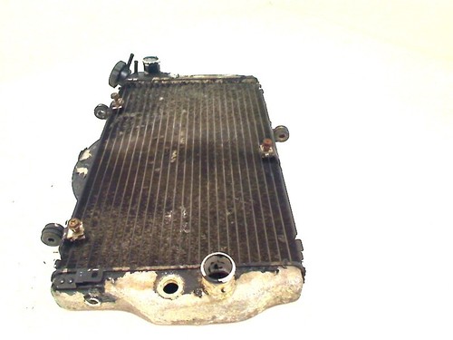 Kühler honda cbr 1100 - kühler,